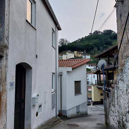 Villa Casa Vale Do Rio Penacova Exterior foto